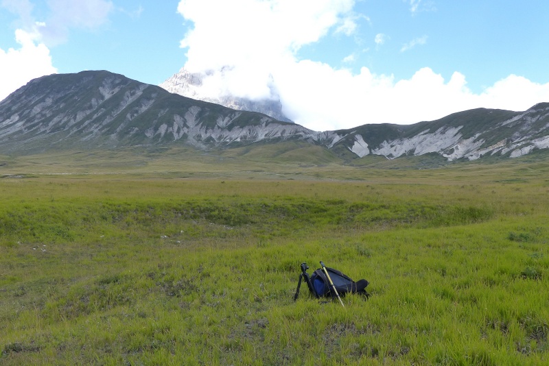 Le belle Epipactis sulle praterie di Campo Imperatore (AQ)  luglio 2025.